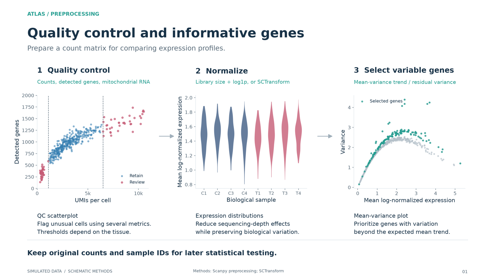 Quality control scatterplot, normalized expression distributions, and a mean-variance plot marking highly variable genes.
