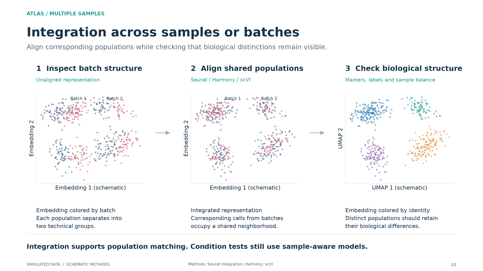 Cells colored by batch before and after integration, and the same cells colored by cell type showing identities are preserved.